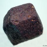 Granate (Grupo)<br />Tanzania<br />35x45 mm<br /> (Autor: Joan Niella)
