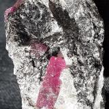 Corundum (variety ruby)Distrito Mysore, Karnataka, India3,5 x 2,5 cm (Author: Volkmar Stingl)