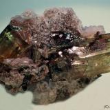 Fluorapatito<br />Mina Cerro de Mercado, Cerro de los Remedios, Victoria de Durango, Municipio Durango, Durango, México<br />55 x 40 mm<br /> (Autor: Joan Niella)