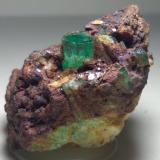 Beryl (variety emerald), PyriteMuzo (distrito minero), Cinturón Esmeraldífero Occidental, Departamento Boyacá, Colombia42 x 27 mm (Author: Sante Celiberti)