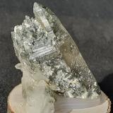 Quartz, Actinolite, TremoliteSaurüssel, Zona Mörchner, Zemmgrund, Valle Ziller (Zillertal), Tirol Norte, Tirol, Austria4 x 2 cm (Author: Volkmar Stingl)