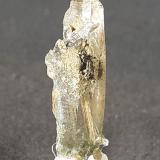 Quartz, Actinolite, TremoliteSaurüssel, Zona Mörchner, Zemmgrund, Valle Ziller (Zillertal), Tirol Norte, Tirol, Austria3,5 x 1 cm (Author: Volkmar Stingl)