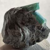 Beryl (variety emerald)Sedl, Valle Habach, Hohe Tauern, Salzburgo/Salzburg, Austria2 x 2 cm (Author: Volkmar Stingl)