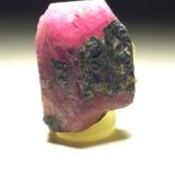 Corundum (variety ruby)Luc Yen, Provincia Yenbai, Vietnam21 x 15 mm (Author: Sante Celiberti)