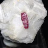 Corundum (variety ruby)Ali Abad, Valle Hunza, Distrito Nagar, Gilgit-Baltistan (Áreas del Norte), Paquistán29 x 27 mm (Author: Sante Celiberti)