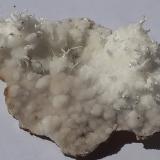 Aragonite<br />Nals-Prissian Mine, Nalles (Nals), Autonomous Province South Tyrol, Trentino-Alto Adige (Trentino-Südtirol), Italy<br />7 x 5 cm<br /> (Author: Volkmar Stingl)