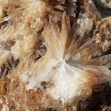 Aragonite<br />Magnesite deposit, Bürglkopf, Hochfilzen, Kitzbühel District, North Tyrol, Tyrol/Tirol, Austria<br />10 x 8 cm<br /> (Author: Volkmar Stingl)