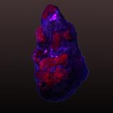 Corundum (variety ruby)Jagdalek Mine, Surobi, Kabul, Afganistán25 mm x 42 mm x 20 mm (Author: Firmo Espinar)