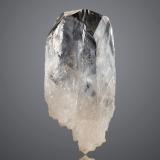 WhewellitePozo 371, nivel 1170, Distrito Schlema-Hartenstein, Erzgebirgskreis, Sajonia/Sachsen, Alemania2.5 x 2 x 5.5 cm / Main crystal size: 5.5 cm (Author: MIM Museum)