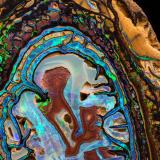 Opal (variety boulder opal)Área de ópalos de Yowah, Condado Paroo, Queensland, Australia7.5 x 8 x 2 cm (Author: MIM Museum)