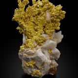 Oro con Cuarzo<br />Mina Mockingbird, Zona Colorado, Distrito Whitlock, Mother Lode Belt, Condado Mariposa, California, USA<br />7,5 x 6,5 x 11 cm<br /> (Autor: Museo MIM)