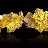 Oro con Cuarzo<br />Mina Mockingbird, Zona Colorado, Distrito Whitlock, Mother Lode Belt, Condado Mariposa, California, USA<br />8,5 x 6 x 6,5 cm<br /> (Autor: Museo MIM)