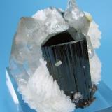 Topaz, schorl, quartz, albite, mica
Chamachhu, Haramosh Mts., Skardu, Gilgit-Baltistan, Pakistan
 56 mm x 47 mm (Author: Carles Millan)