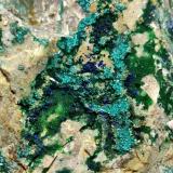 Tirolita [Tyrolita], Conicalcita [Conichalcite], Azurita [Azurite]<br />Mina La Encontrada, Los Tejares, Ítrabo-Molvízar, Comarca Costa Granadina, Granada, Andalucía, España<br />9x5 cm.<br /> (Autor: panchito28)