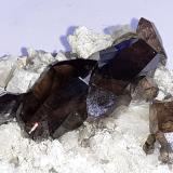 Quartz (variety smoky quartz), Orthoclase (variety adularia)Monte Galenstock, Tiefenbach, Urseren, Uri, Suiza6 x 4 cm (Author: Volkmar Stingl)