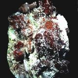 Fluorapofilita-(K) [Fluorapophyllite-(K)]<br />Distrito Jalgaon, Maharashtra, India<br />90x65 mm.<br /> (Autor: Jesus Franquesa Baucells)