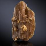 Eosforita [Eosphorite]<br />Linópolis, Divino das Laranjeiras, Vale do Rio Doce, Minas Gerais, Brasil<br />3 x 1.5 x 5.5 cm / cristal principal: 5.4 cm<br /> (Autor: Museo MIM)