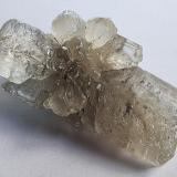 Gypsum (variety selenite)Pozo Klein-Steimke, Königslutter am Elm, Helmstedt, Baja Sajonia/Niedersachsen, Alemania4,5 x 2,5 cm (Author: Volkmar Stingl)