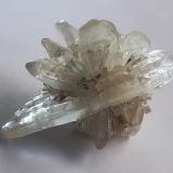 Gypsum (variety selenite)Pozo Klein-Steimke, Königslutter am Elm, Helmstedt, Baja Sajonia/Niedersachsen, Alemania4,5 x 3,5 cm (Author: Volkmar Stingl)