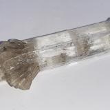 Gypsum (variety selenite)Pozo Klein-Steimke, Königslutter am Elm, Helmstedt, Baja Sajonia/Niedersachsen, Alemania5,5 x 1,5 cm (Author: Volkmar Stingl)