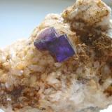 Blue violet fluorite cubes on dolomite - a classic from Caaschwitz quarry, Gera, Thuringia. The cube aggregate measures about 3 cm in width. (Author: Andreas Gerstenberg)