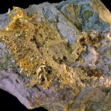 Oro s/Cuarzo.
Mina Olinghouse, Washoe Co., Nevada, EE.UU.
Tamaño de la agrupación de cristales de Oro 5x4 cm. Col. y foto Nacho Gaspar. (Autor: Nacho)
