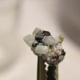 Espinela pleonasto
S. de Mijas - Málaga - Andalucía - España
cristal  0.3 cm + 1.2 cm la forsterita (Autor: Diego 1)