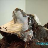 Celestina fibrosa metida en un cristal de yeso
Minas Pilar de Jaravia   sierra del Aguilón  Almeria
año 1997
taaño cristal 3,5cms (Autor: Gelo)