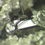 Macla de cristales de pirargirita de 2 mms. Mina Santa Catalina, Hiendelaencina, Guadalajara (Autor: Adrian Pesudo)