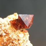 Espinela Rubí
Sierra de Mijas - Málaga - Andalucía - España
Cristal de 0.6 cm (Autor: Diego Navarro)
