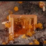 Wulfenite with mimetite
Rowley mine, Arizona, USA
fov 10 mm (Author: ploum)