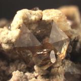 Quartz, transparent and "smoky".
These crystals have very reduced prism faces.
Huron River near Milan, OH
Main crystal is 5.3 mm wide. (Author: Pete Richards)
