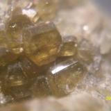 Vesubianita cristalizada.
Mines de Can Montsant (de l’Aram), Hortsavinyà, Tordera, Serra del Montnegre, El Maresme, Barcelona
Cataluña, España
Cristales de 5mm (Autor: marcel)