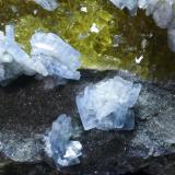 Barita Azul + Fluorita
Mina Moscona - Solís - Corvera - Asturias
Pieza de 15x15 cm. cristal mayor 1,5 cm.
Detalle de la pieza anterior (Autor: El Coleccionista)