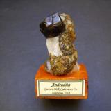 Andradita
Garnet Hill, Calaveras Co., California, EEUU
5 x 3,5 x 2,5 cm.
Ex colección Pedro Jiménez. El cristal mide 1,8 cm. (Autor: Antonio Alcaide)