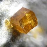 Joaquinita
San Benito Gem Mine, New Idria, San Benito County, California, USA
fov 1.5 mm (Autor: Rewitzer Christian)