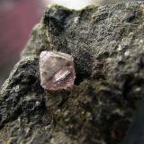 Diamante
Kimberley, Sudáfrica
35 x 20 x 20 mm
Cristal de 3 x 3 mm., sobre kimberlita (Autor: José Luis Zamora)