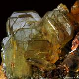 Cristales de Baritina
Cerro Warihuyn, Miraflores, Huamalias, Huanuco, Perú
6 x 5 x 5 cms.
Detalle del grupo de cristales ampliado. (Autor: Jordi Lluis Pi)