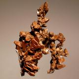 Copper
Relistian Mine, Gwinear, Cornwall, England
2.9 x 4.2 cm.
An arborescent group of well-defined crystals. (Author: crosstimber)