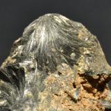 Ferro-hornblenda
Mina El Carrazal, Cardes, Piloña, Asturias
cristalización 2,5 x 2 cm.
detalle de la pieza anterior (Autor: Quexigal)