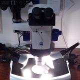 El microscopio una vez automatizado (Autor: Oscar Fernandez)