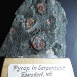 Piropo
Ebersdorf, Leiben, Austria
6 x 5 cm.
Piropos en serpentinita.  He conservado la etiqueta original en la peana de madera. (Autor: prcantos)