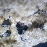 Allanita
Cantera Dellen, Niedermendig, Mendig, Complejo volcánico del Lago Laach, Eifel, Alemania
50X; 2 mm. de longitud aprox. la parte visible del cristal de la izquierda
Cristales negros de allanita en una pumita de sanidina. (Autor: prcantos)