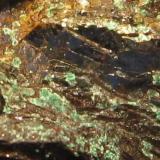 Malachite on Hematite 
Manassas quarry, Manassas, Prince William Co., Virginia, USA
1 x 0.6 cm FOV 
Self-collected
Photo &amp; specimen: Jessica Simonoff (Author: Jordi Fabre)