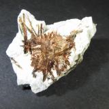 Astrofilita
Khibiny Massif, Península Kola, Murmanskaja Oblast&rsquo;, Norte de Rusia
4 x 2&rsquo;5 cm.
Agregado estrellado de cristales aciculares. (Autor: prcantos)