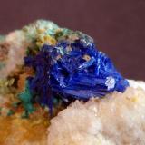 Linarite
Roughten Gill Mine, Caldbeck Fells, Cumbria, England, UK
Linarite crystals, typically 1cm. (Author: ian jones)