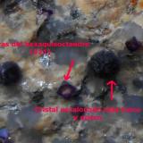 Fluorita
South Shore Sand and Gravel quarry, Chester, Nova Scotia, Canadá
5,5 x 4,5 x 4 cm
Detalle de ambos tipos de cristales. El cristal más pequeño presenta las modificaciones del hexaquisoctaedro y una zonación incolora central. Estas fluoritas me recuerdan a las de Cillarga o a las de Uxes. (Autor: Antonio Alcaide)