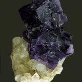 Fluorita.
Berbes, Ribadesella, Principado de Asturias, España.
Cristales de 24 mm. (Autor: Antonio Carmona)