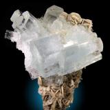 Berilo var. Aguamarina
Gilgit, Pakistan
Cristal biterminado de 9cm
Grupo flotante con cristales radiados saliendo de uno principal biterminado. El ejemplar está terminado en la parte posterior y la matriz de mica. (Autor: Raul Vancouver)