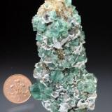 Fluorite on quartz
Rogerley Mine, Frosterley, Weardale, Co. Durham, England, UK
approximately 10 cm tall
From the Corner Pocket, West Crosscut, 2004 (Author: Jesse Fisher)